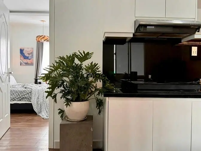 Căn Hộ Chung Cư Mini 1 Phòng Ngủ Cửa Sổ Thoáng Gần Chợ Tân Định Quận 1