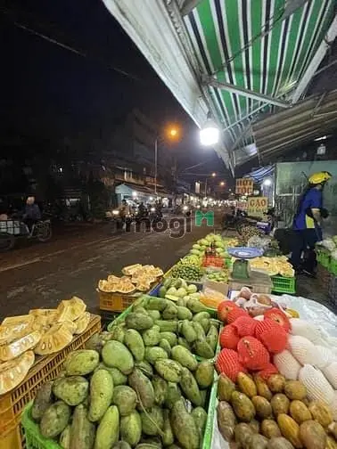 Chọn Lọc Bds Quận 7 Giá Tốt, Ngang Rộng, Vị Trí Đẹp ~ 10 Tỷ, Xd Chdv