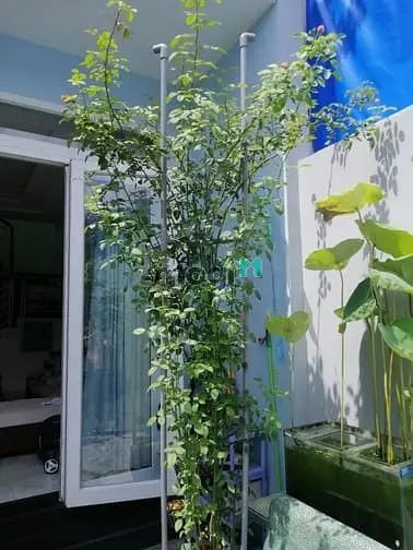 Bán Nhà Cực Hot Hồ Văn Long, Kp1, Bình Hưng Hoà, Bình Tân, 2,65 Tỷ