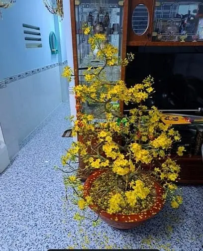 Thủ Đức, Nhà C4 Đường Số 2 Trường Thọ, Dt 60M2 Đất Chỉ 3.8 Tỷ