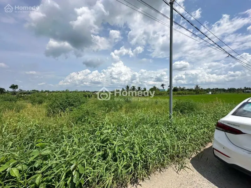 Đất Thổ 5X28M. Đường Bê Tông 4M. Nền Sẵn