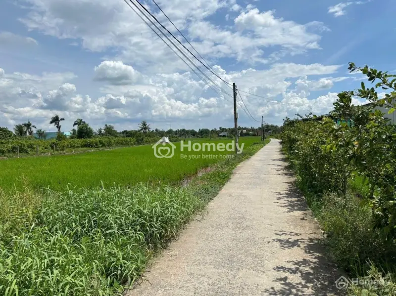 Đất Thổ 5X28M. Đường Bê Tông 4M. Nền Sẵn