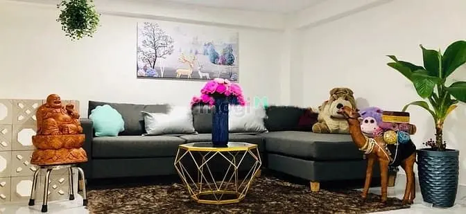 Bán Nhà Giá Mềm Thích Quảng Đức, P4, Phú Nhuận, 3,55 Tỷ, Sổ Riêng