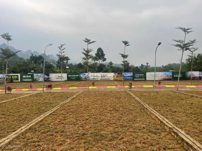 Cơ Hội Lớn Cho Nhà Đầu Tư Săn Đất Thổ Cư Lạc Thủy Đón Sóng Hạ Tầng Phát Triển Mạnh Cuối 2025