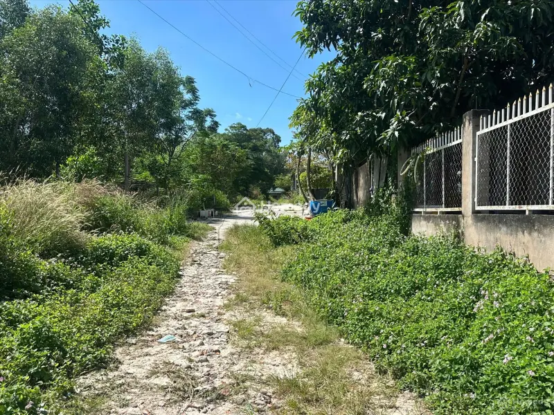 Bán Đất Thổ Cư Hẻm Thượng Hiền - Tân An - Lagi Giá Gốc