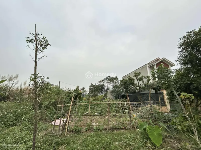 Cần Bán Đất Mặt Đường T1 Đối Diện Trung Tâm Hành Chính Đô Thị Tân