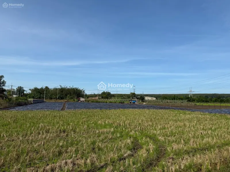 🌅 Chỉ 579 Triệu - 100M² Thổ Cư Tại Gia Tân 2 - Gần Đức Mẹ Núi Cúi