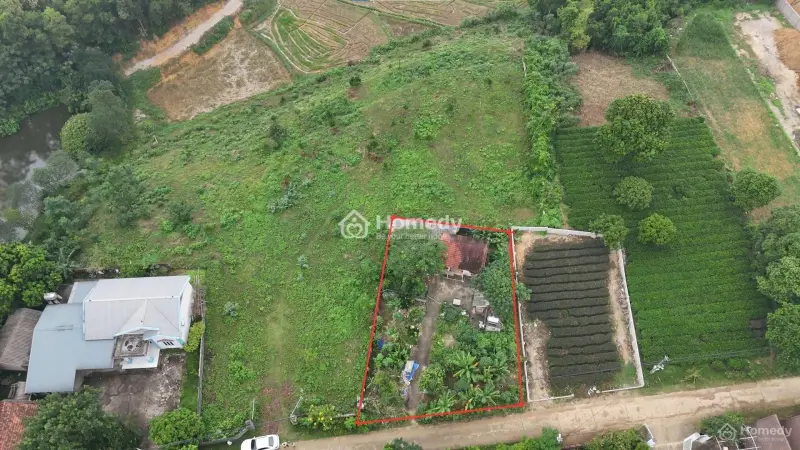 Giao Bán Lô Đất Siêu Phẩm 513M² Tại Xã Yên Bài - Ba Vì