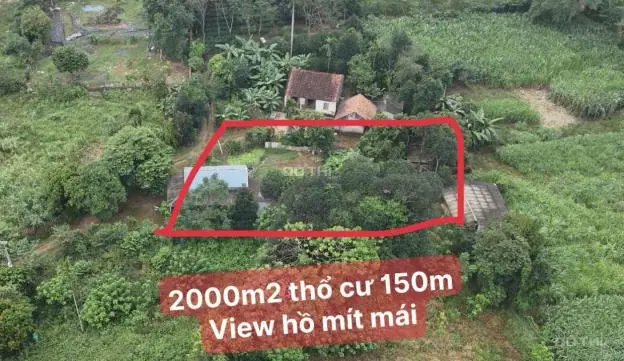 🏞️ Giao Bán Lô Đất Siêu Phẩm 2000M² Tại Xã Yên Bái - Ba Vì