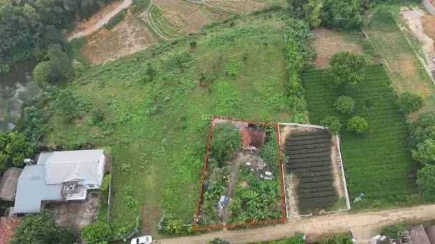 Giao Bán Lô Đất Siêu Phẩm 513M² Tại Xã Yên Bái - Ba Vì