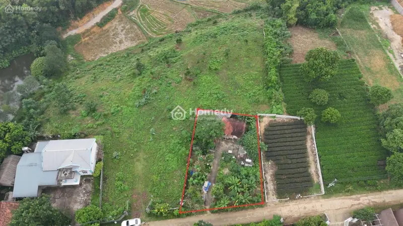 Bán Lô Đất 513M², Có 50M² Đất Ở Thổ Cư Tại Xã Yên Bài, Ba Vì