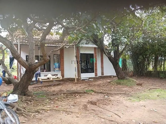 🌿 Cho Thuê Nhà Vườn 2.000M² Quận 9 Giáp Quận 2, Đường Xe Tải