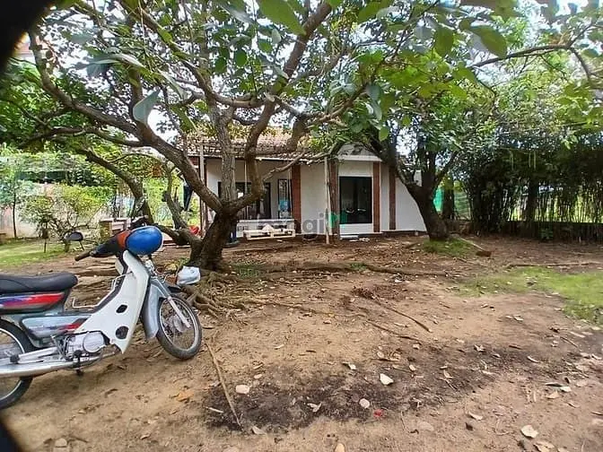 🌿 Cho Thuê Nhà Vườn 2.000M² Quận 9 Giáp Quận 2, Đường Xe Tải