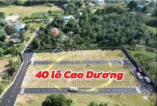 🔥 Siêu Phẩm F0 – Đất Nền Hami Cao Dương Sở Hữu Lô Đất Vừa Ở – Vừa Đầu Tư – Sinh Lời Nhanh!
