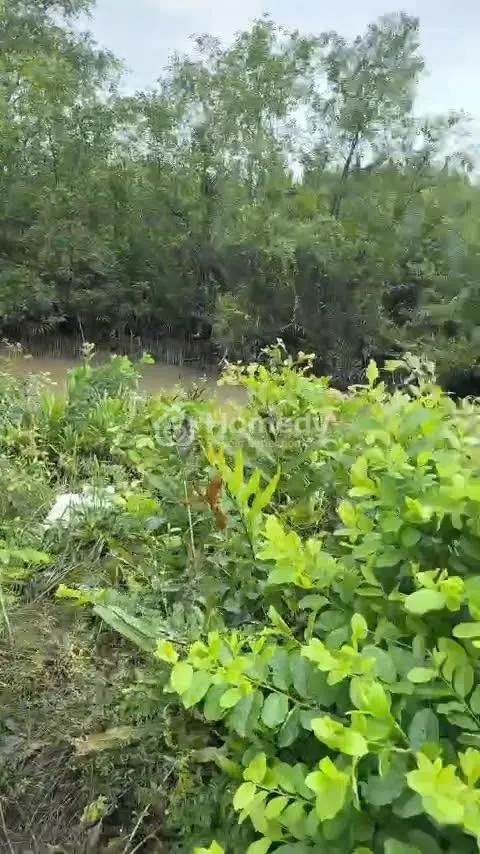 🔥 Đất Mặt Tiền Đường Liên Ấp 2-3, Hiệp Phước – Nhà Bè