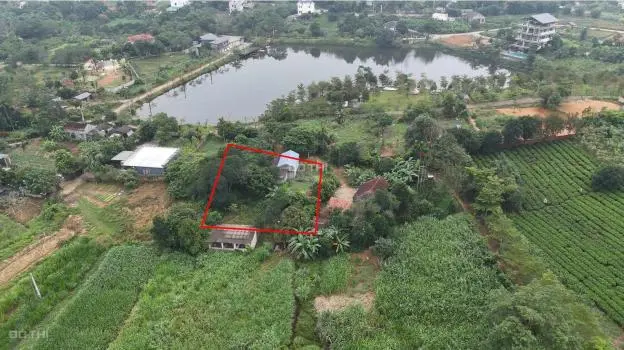 Bán Đất Tại Xã Yên Bài, Ba Vì, Hà Nội Diện Tích 2000M2 Giá 10 Tỷ