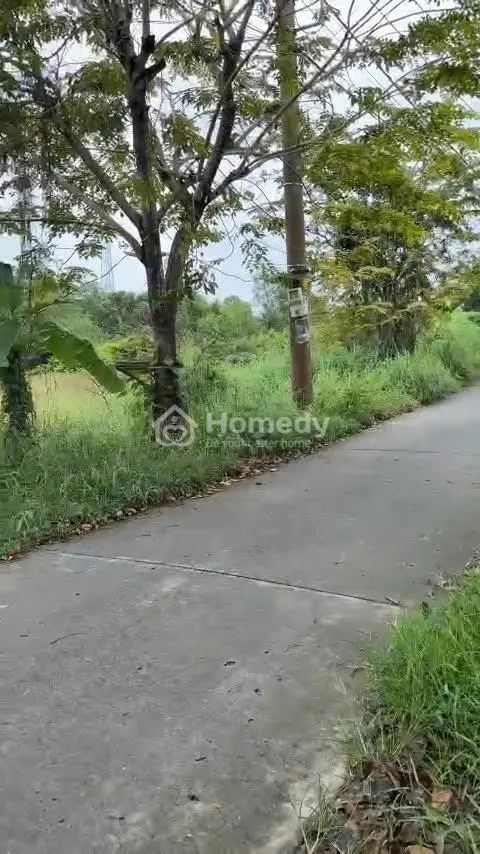 🔥 Đất Mặt Tiền Đường Liên Ấp 2-3, Hiệp Phước – Nhà Bè