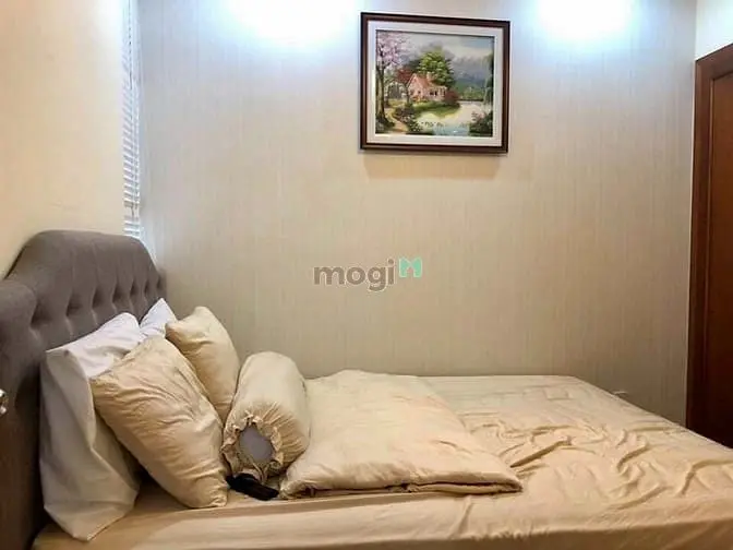 Chuyên Giỏ Hàng Hoàng Anh Thanh Bình Nhà Trống/Full Nội Thất Quận 7