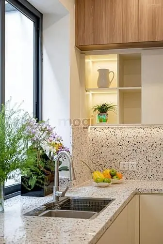 Chuyên Cho Thuê Biệt Thự Phú Mỹ Hưng, Quận 7. Gia Thuê 60Tr/Th