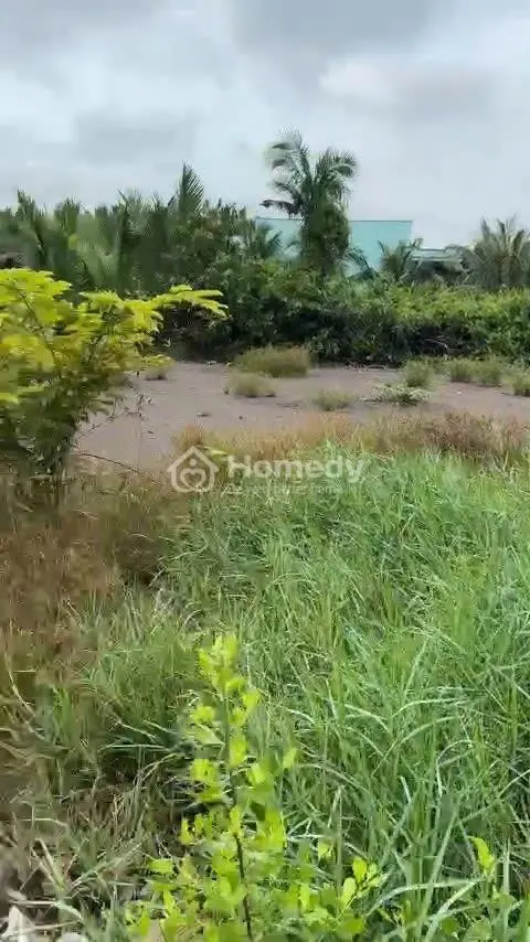 🔥 Đất Mặt Tiền Đường Liên Ấp 2-3, Hiệp Phước – Nhà Bè