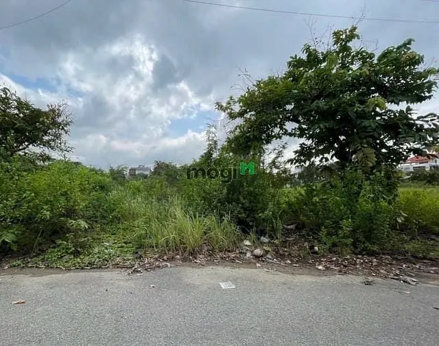 Đất Gần Mặt Tiền Liên Phường, Phước Long B, Hàng Xóm Kđt Global City