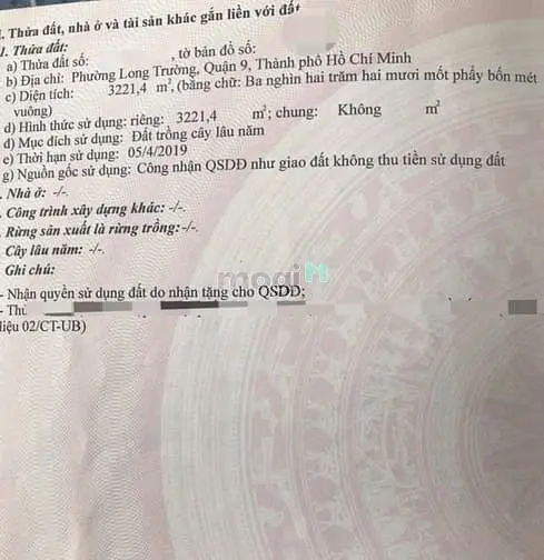Bán Đất Cây Lâu Năm Mặt Tiền Bùi Xương Trạch Quận 9 Đường 20M Nối Liên