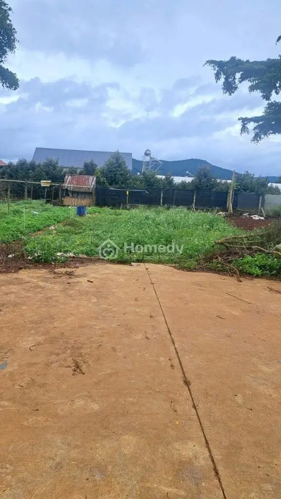 Bán Đất Thổ Cư Giá Rẻ, Chính Chủ Bán Gấp, Gần Chợ, Trường Học, Nhà Thờ, Sân Bay Liên Khương