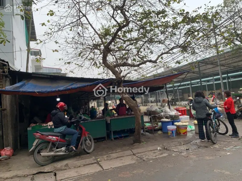 Bán Đất 132 M² Lô Góc Hai Mặt Tiền Cạnh Chợ Tứ Liên, Rất Phù Hợp Để Xây Biệt Thự, Nhà Cao Tầng;