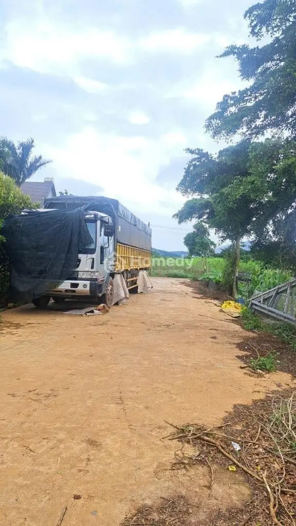 Bán Đất Thổ Cư Giá Rẻ, Chính Chủ Bán Gấp, Gần Chợ, Trường Học, Nhà Thờ, Sân Bay Liên Khương