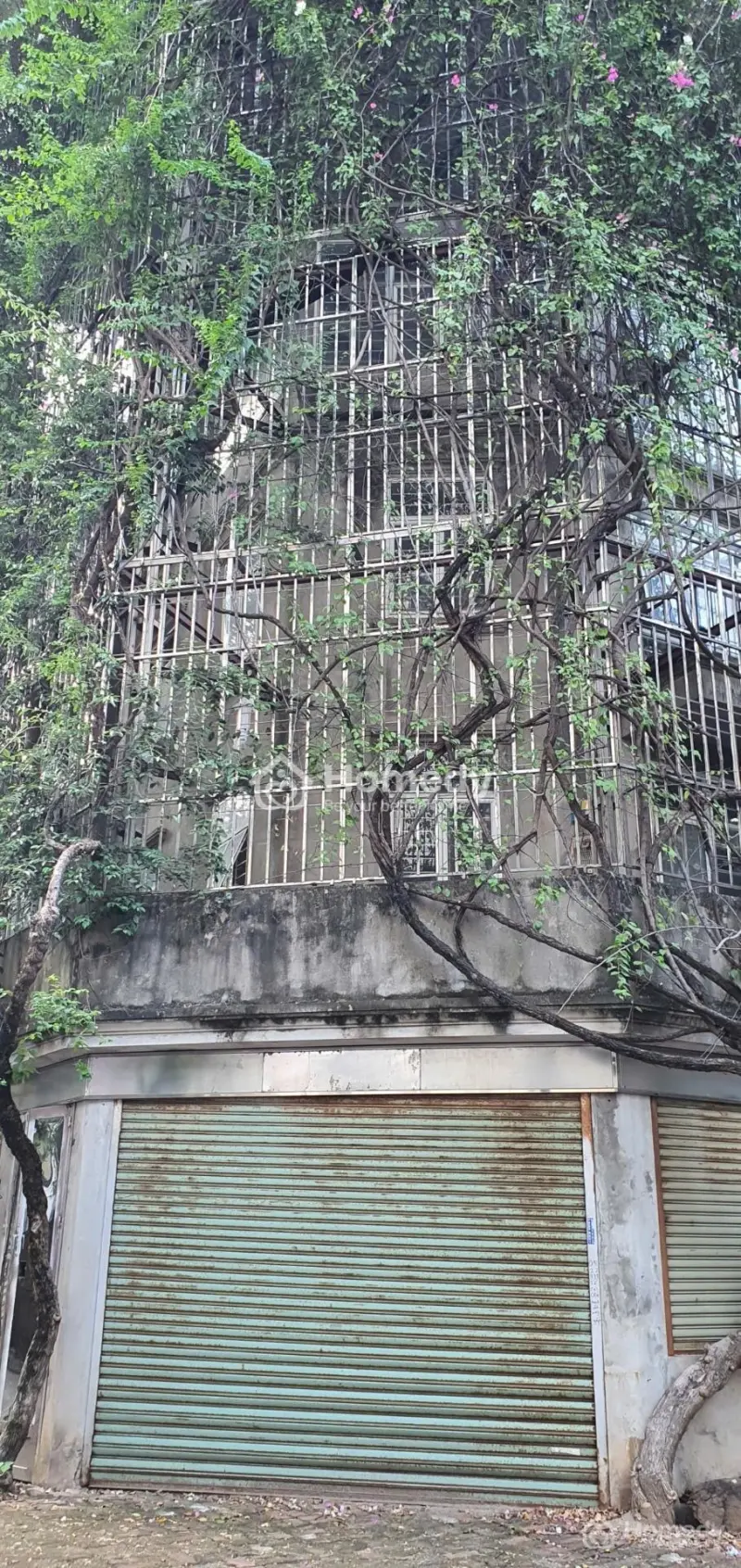 Bán Nhà Phố Tam Trinh, Dt 140 M2, Mt 27 M, Ở Sướng & Làm Vp Luôn