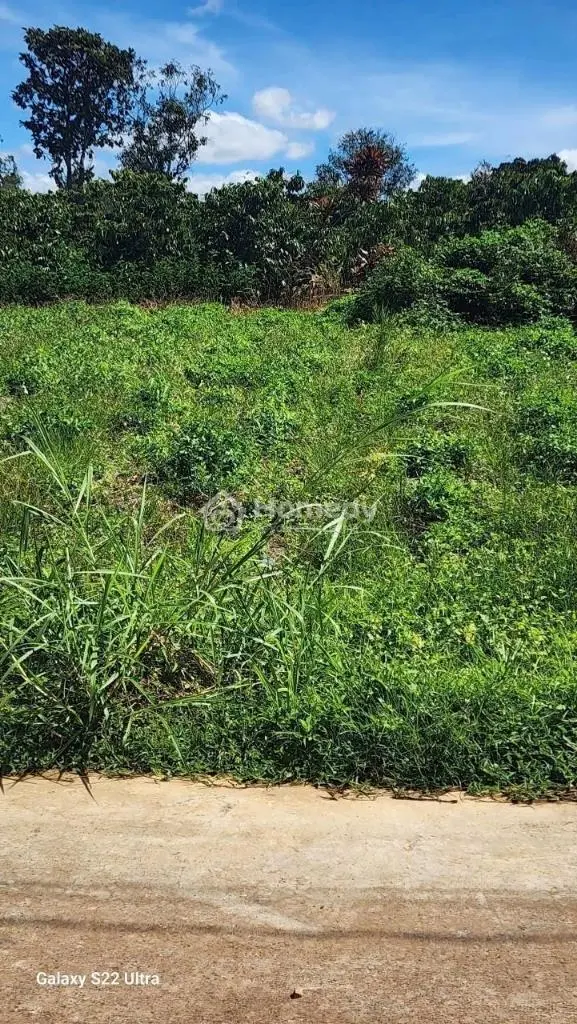 Bán Đất Thổ Cư Giá Rẻ Tại Hiệp Thạnh, Lâm Đồng Chỉ 800 Triệu, Cách Sân Bay 6 Km, Gần Mọi Tiện Ích