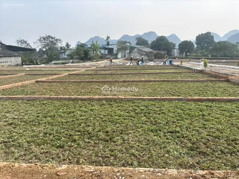 💥 ✨ Những Lô Đất Cuối Cùng – Tại Trung Tâm An Bình Chỉ 195 Triệu/Lô ☀ ☀