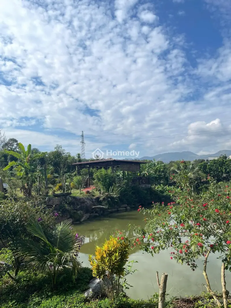 Lộc Nam _ Đầy Ưu Đãi, Giảm 110Tr Cho Khách A Mua Trong Thàng 12.