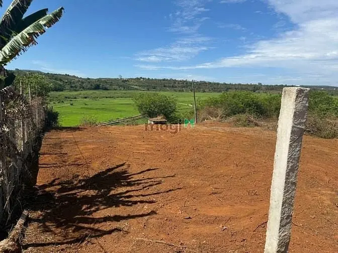 Bán Đất Hẻm Lý Chính Thắng View Ruộng, Pleiku Gia Lai