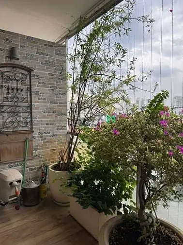 🌿 Cho Thuê Căn Hộ Garden Plaza 1 – Block C Tầng 8 • Hướng Biệt Thự •