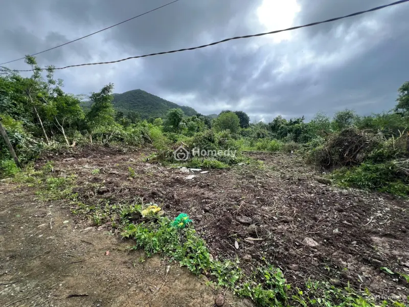 Bán Đất Chính Chủ Cần Bán Trả Nợ ( Gặp Trực Tiếp Chủ Đất ) Có Tính Phí Hoa Hồng Khi Giới Thiệu Đất