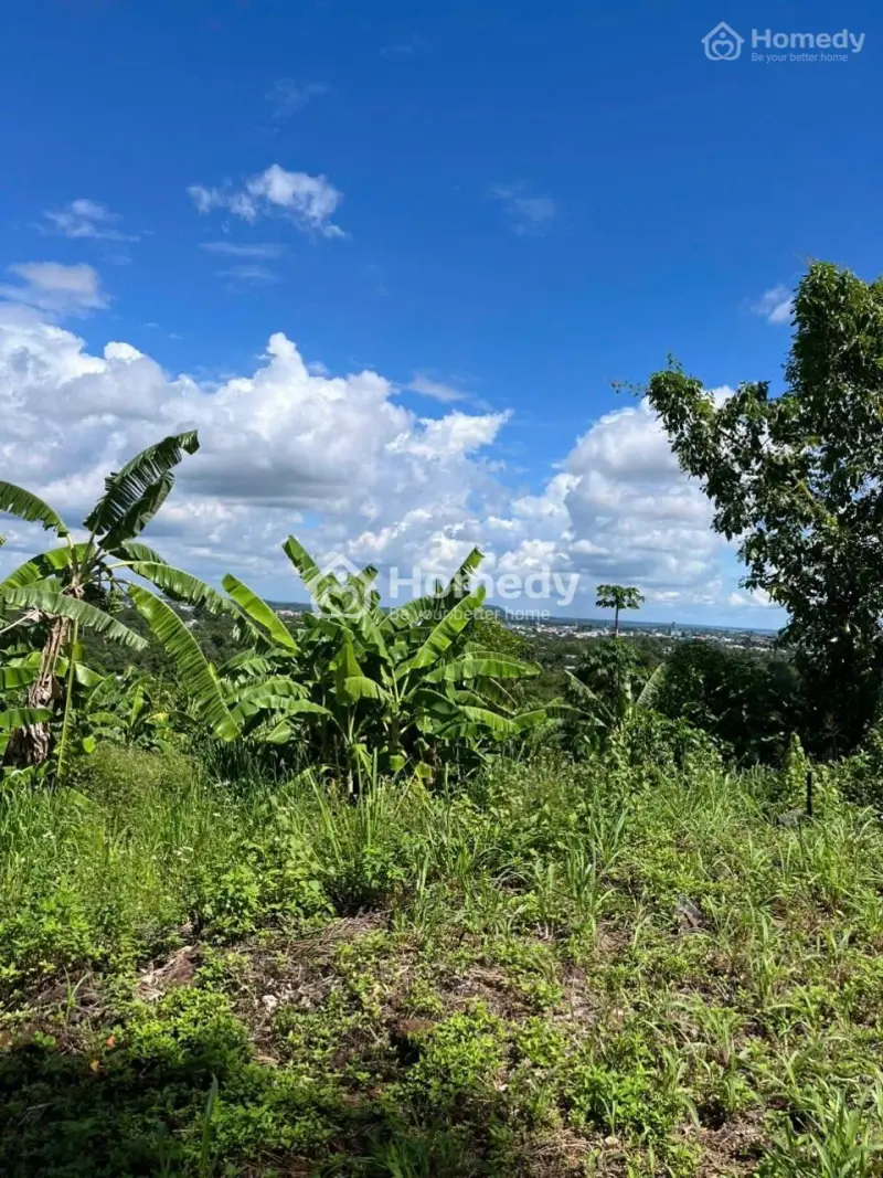 Lô Đất Cuối Cùng Ở Sông Nhạn - Giá Đã Chạm Đáy