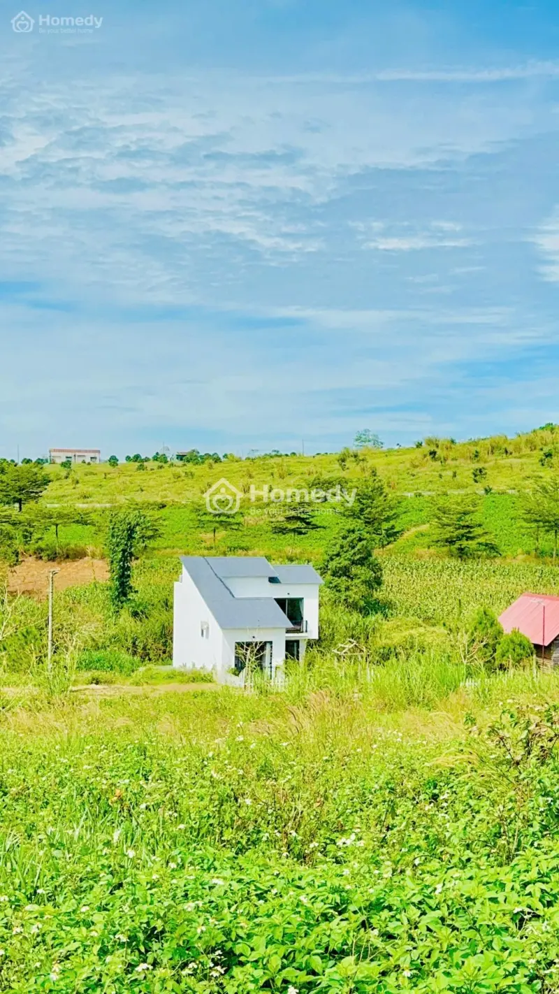 Làng Omm 2 – Nhận Ngay Dòng Tiền Thuê 2 Năm, Chỉ 3 Khách Hàng Đầu Tiên.