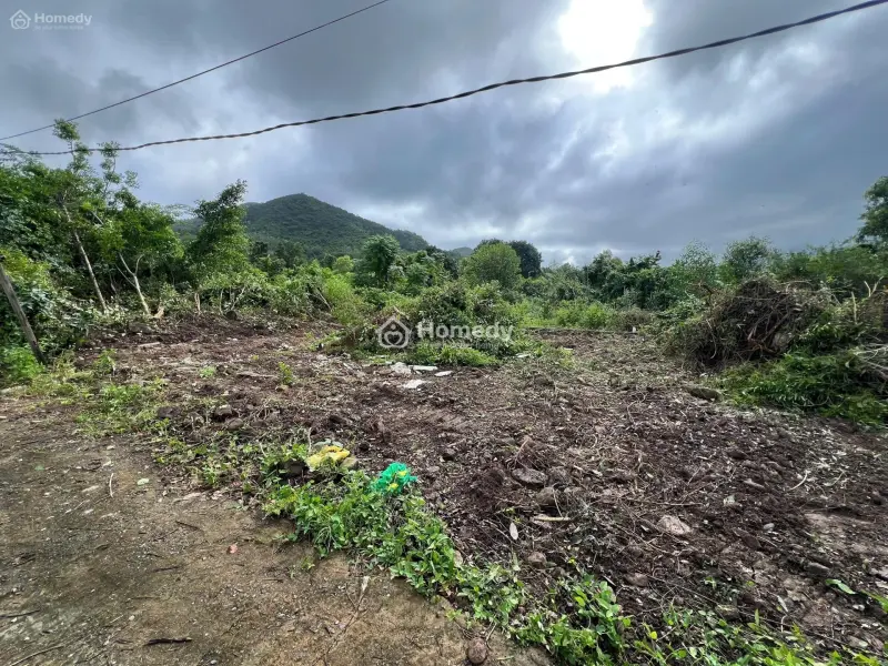 Bán Đất Chính Chủ Cần Bán Để Trả Nợ ( Gặp Trực Tiếp Làm Việc ) Có Phí Hoa Hồng Khi Giới Thiệu Đất