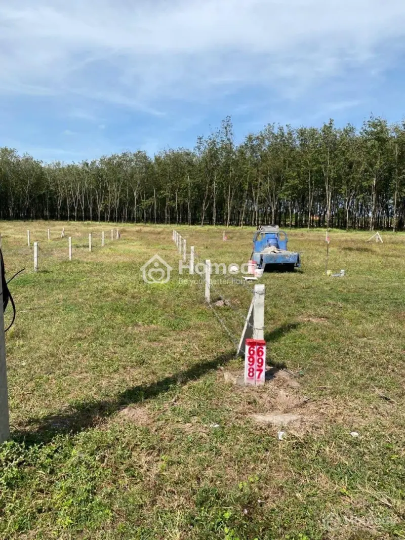 Đất Đẹp 5X35 Full Thổ Cư, Chính Chủ Tại Dương Minh Châu , Tây Ninh