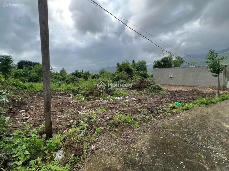 Bán Đất Chính Chủ Cần Bán Để Trả Nợ ( Gặp Trực Tiếp Làm Việc ) Có Phí Hoa Hồng Khi Giới Thiệu Đất