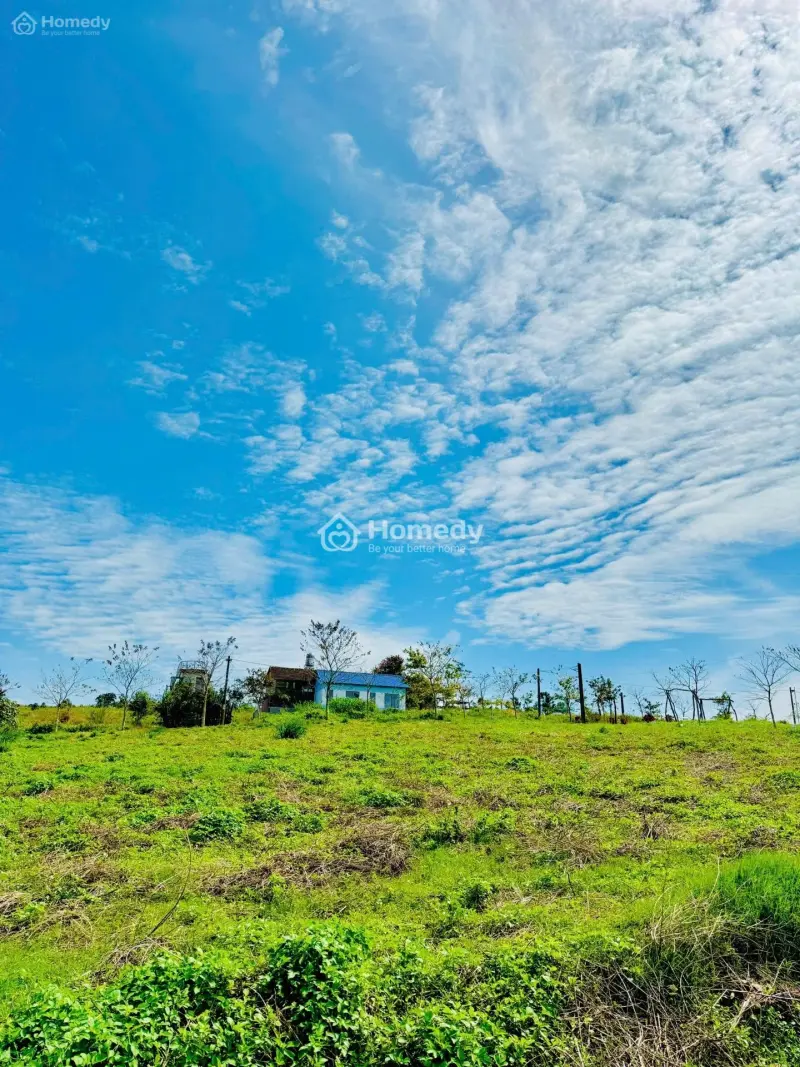 Làng Omm 2 – Nhận Ngay Dòng Tiền Thuê 2 Năm, Chỉ 3 Khách Hàng Đầu Tiên.