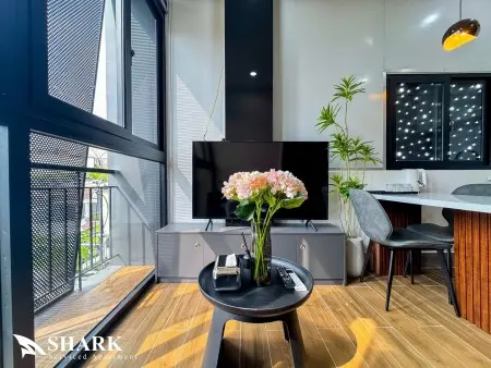 Cho Thuê Căn Hộ 1Pn Tân Bình - Trường Sơn, P4, Tân Bình - Ngay Sân Bay Tân Sơn Nhất