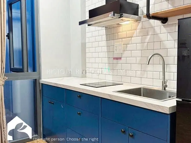 Căn Hộ 1Pn Full Nội Thất Gỗ Đẹp Được Nuôi Mèo Gần Ngã Tư Hàng Xanh