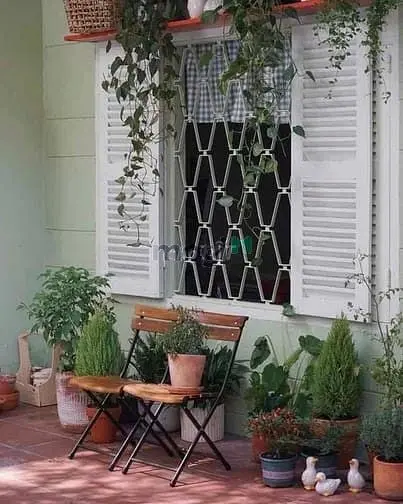 Mặt Bằng Kinh Doanh Đường Nguyễn Cư Trinh Q1 Dt 7,8*15M