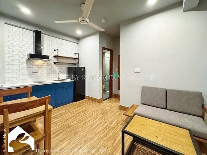 Căn Hộ 1Pn Full Nội Thất Gỗ Đẹp Được Nuôi Mèo Gần Ngã Tư Hàng Xanh
