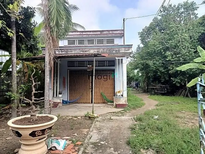 Bán Đất Thổ, Tặng Nhà Và Đất Vườn, Đường Nguyễn Văn Trỗi, Long Hưng