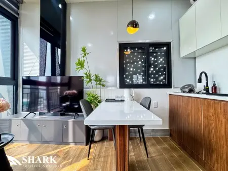 Cho Thuê Căn Hộ 1Pn Tân Bình - Trường Sơn, P4, Tân Bình - Ngay Sân Bay Tân Sơn Nhất