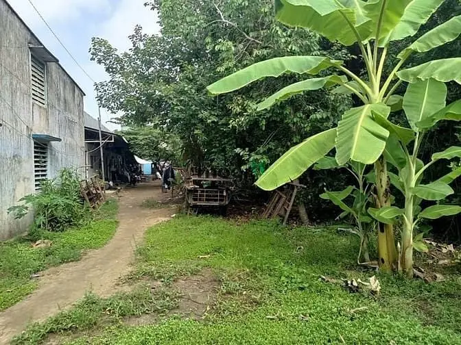 Bán Đất Thổ, Tặng Nhà Và Đất Vườn, Đường Nguyễn Văn Trỗi, Long Hưng