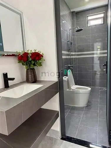 Siêu Phẩm Nhà 1 Trệt 1 Lầu Giá Rẻ 120M2 Ngay Trung Tâm Thủ Dầu Một